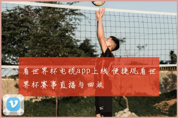 看世界杯电视app上线 便捷观看世界杯赛事直播与回放