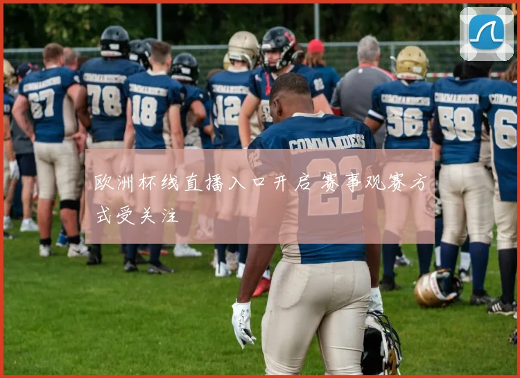 欧洲杯线直播入口开启 赛事观赛方式受关注