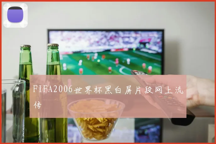 FIFA2006世界杯黑白屏片段网上流传